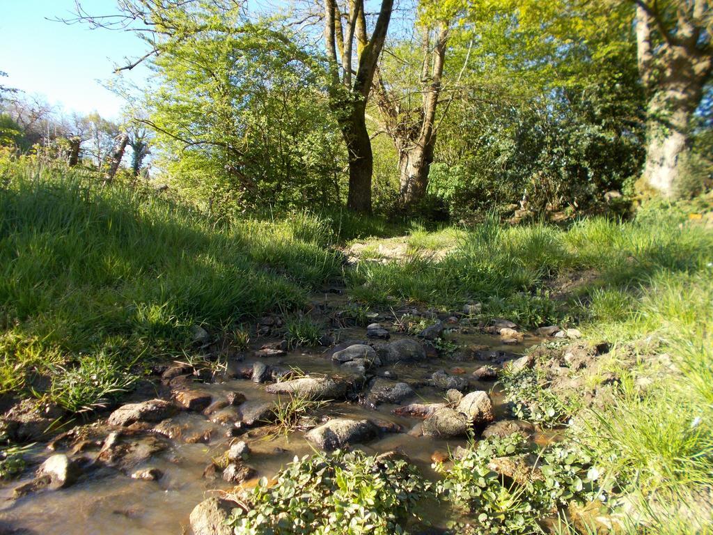 Terre Et Eau Gite Sevremont 拉弗罗瑟利尔 外观 照片